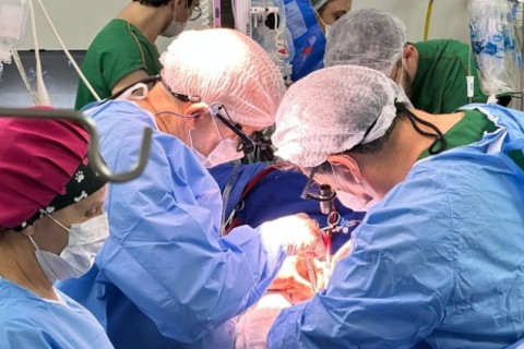HU-UFMA realiza primeiro transplante de coração e marca novo capítulo na história da saúde do Maranhão